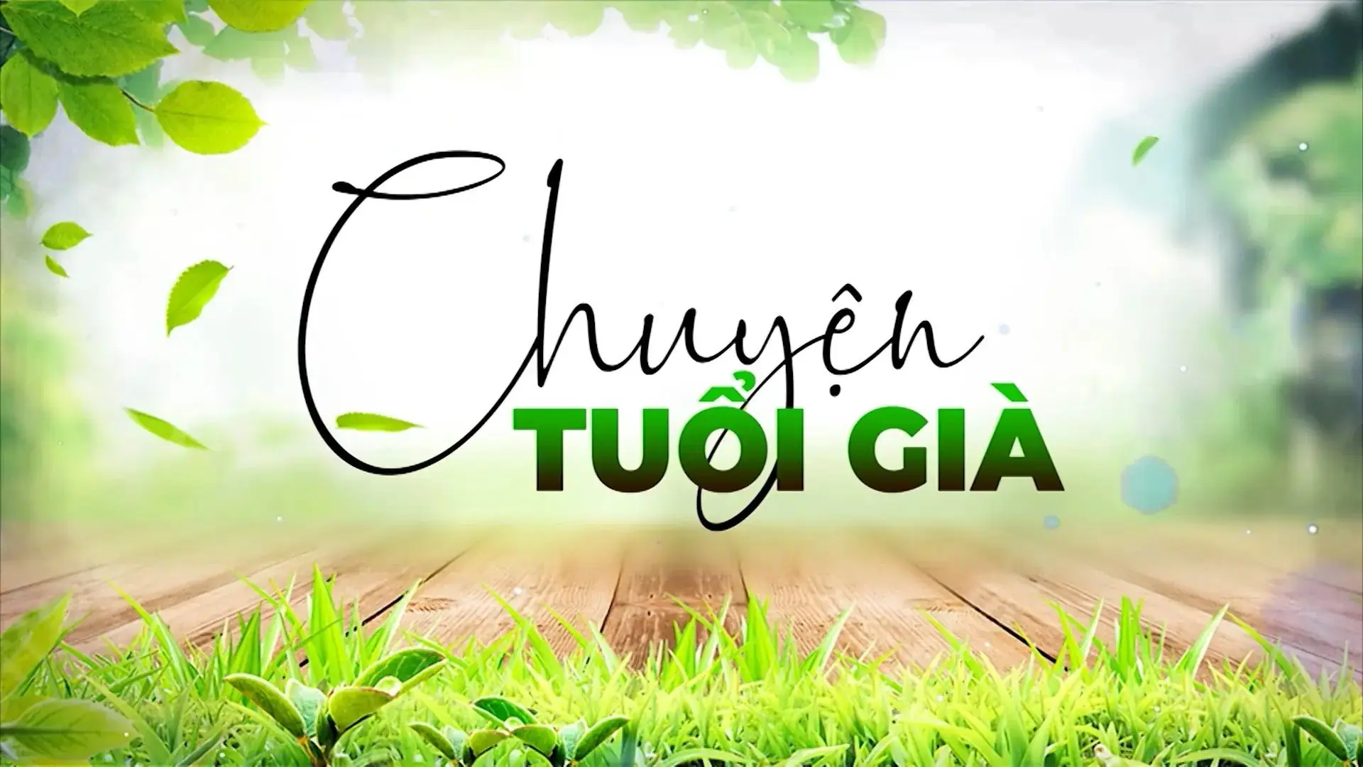 Khi người cao tuổi tham gia mạng xã hội | Chuyện tuổi già | 28/09/2025